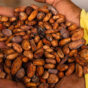 Loacker e il progetto Made in Dignity per un cacao sostenibile